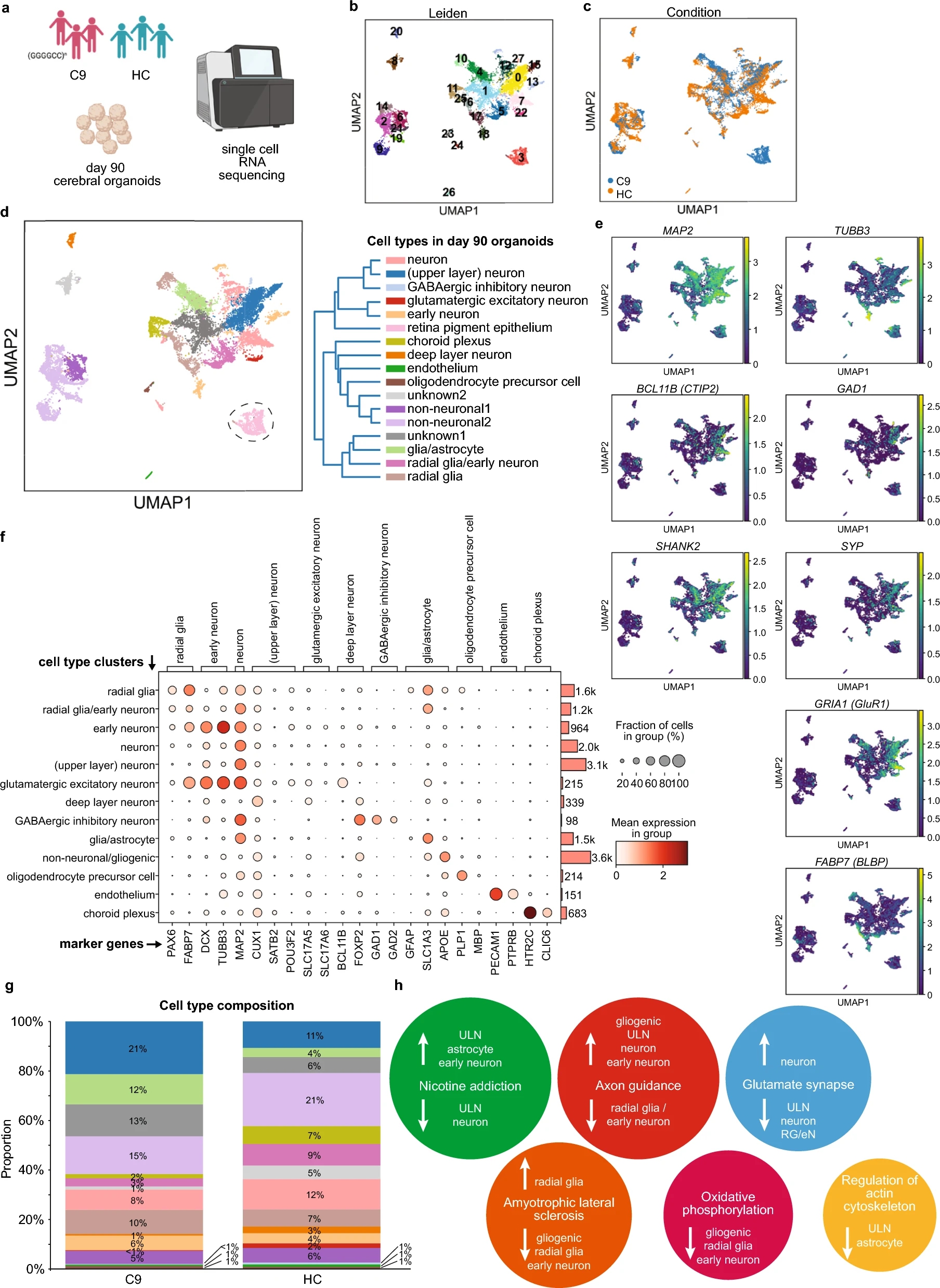 1888159501463965696-10x-genomics-sequencing-service3.jpg