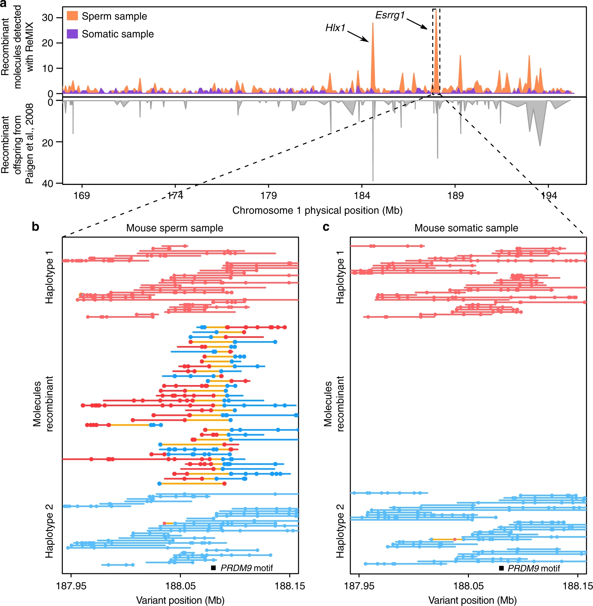 1888160776029065216-10x-genomics-dna-sequencing-service2.jpg