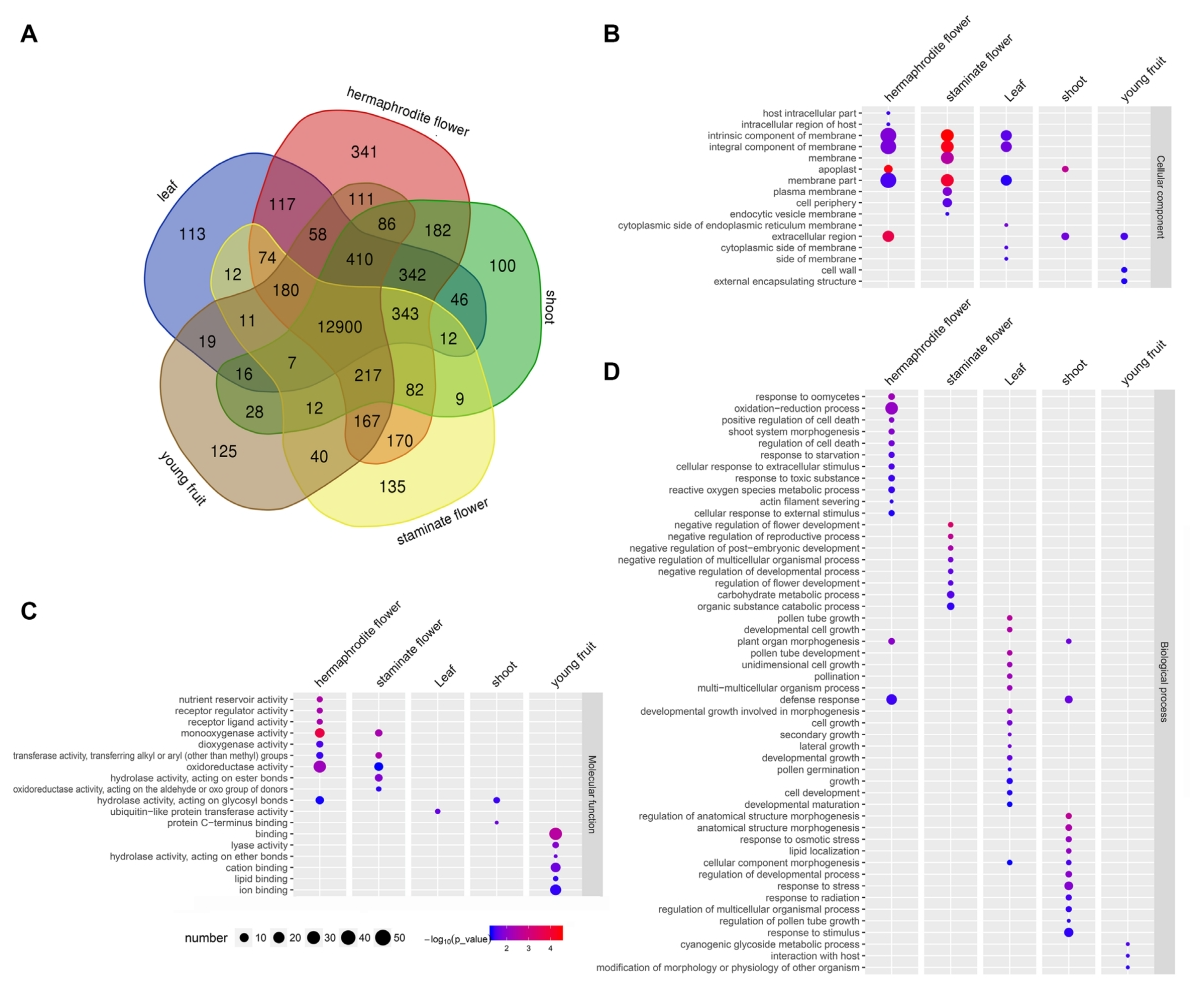 1888162490664734720-10x-genomics-whole-genome-sequencing-service2.png