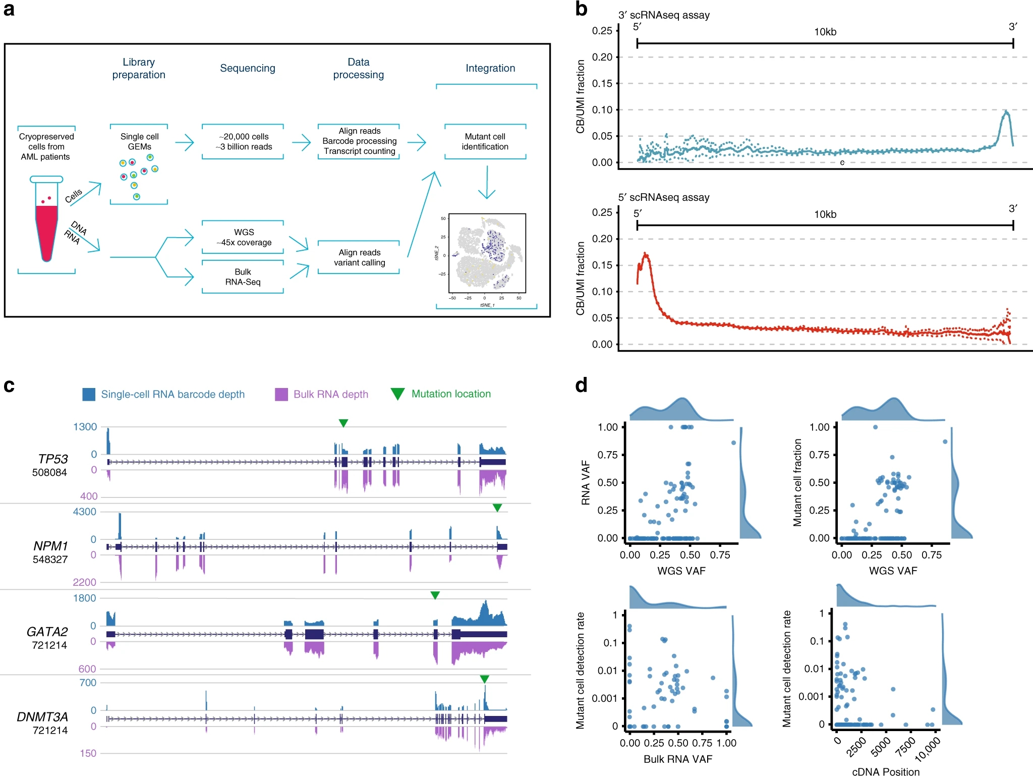 1888824199360401408-10x-genomics-single-cell-sequencing-service2.jpg