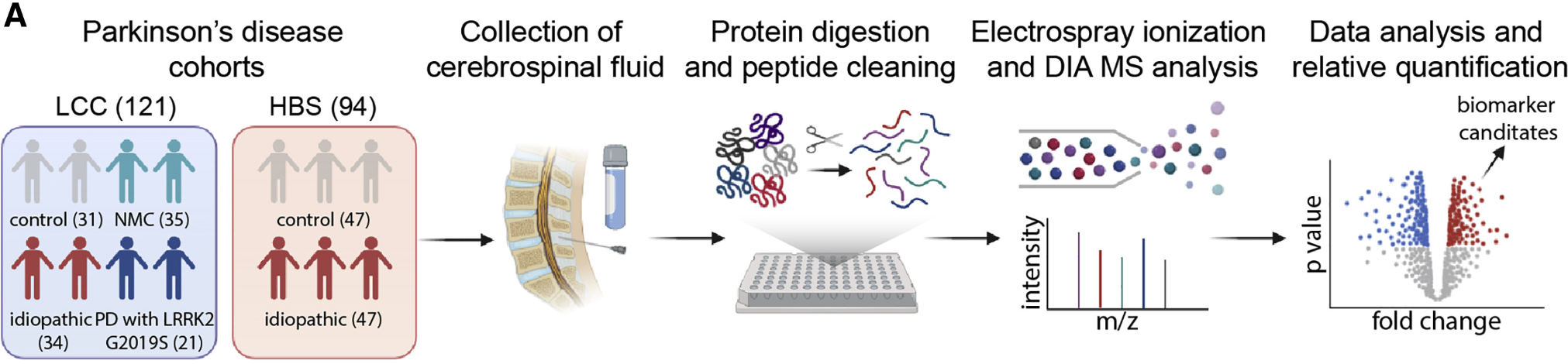 1888852589010341888-cerebrospinal-fluid-csf-protein-quantitative-proteomics-solutions1.png
