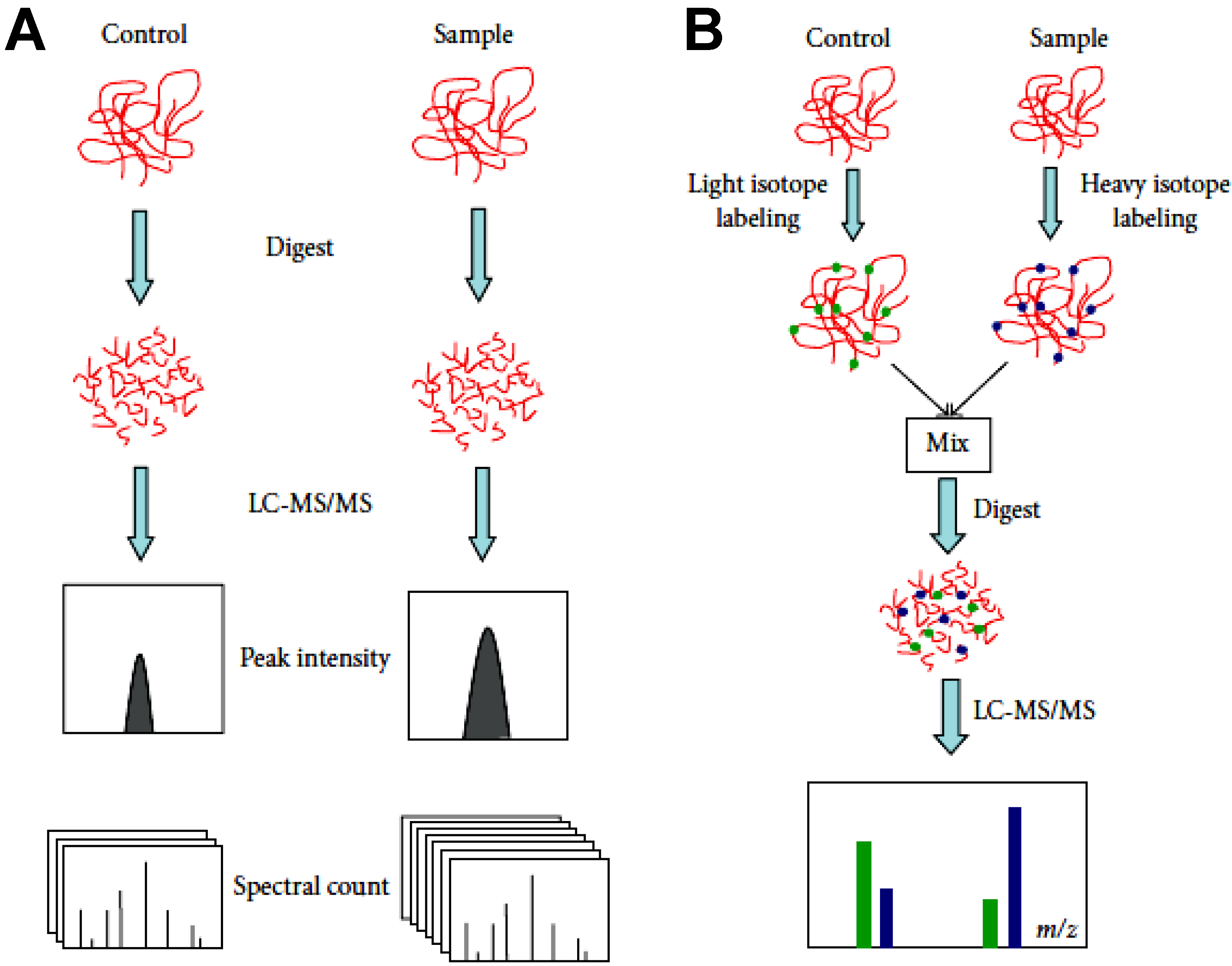 1888874582522843136-global-proteomic-quantification-service1.png