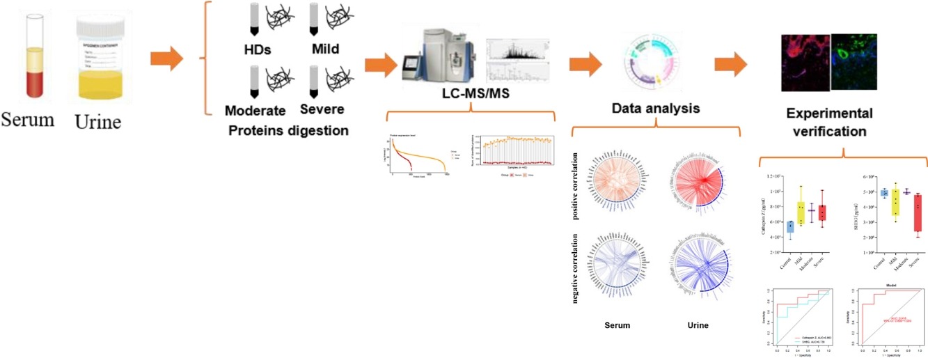 1888882961651716096-dia-quantitative-proteomics-analysis-service2.jpg