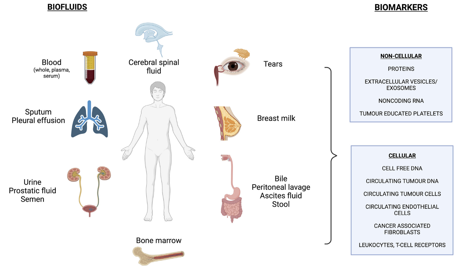 1889486206669541376-biofluid-biomarker-discovery-solutions1.PNG