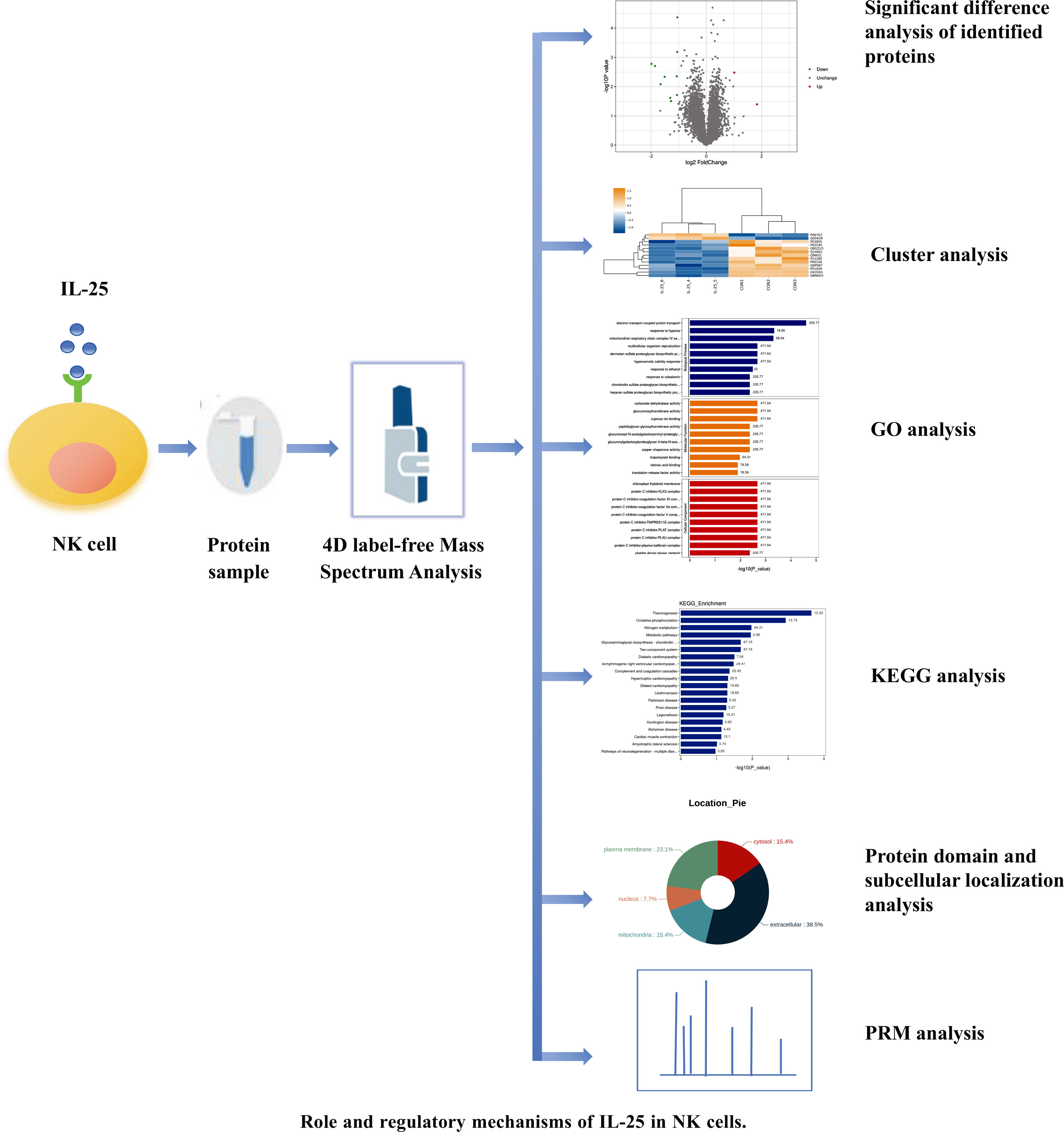 1889592965866311680-4d-prm-target-proteomics-services2.jpg