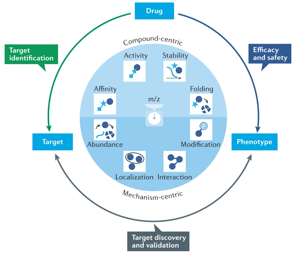 1889866746472026112-proteomics-solutions-of-drug-mechanism-of-action3.png