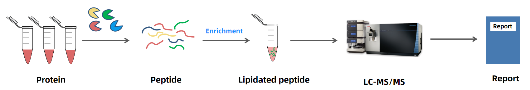 1889958354299244544-lipidation-analysis-service2.PNG