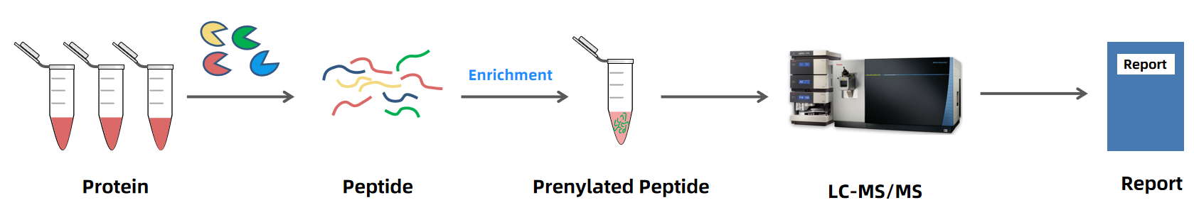 1889959910117593088-prenylation-analysis-service2.PNG