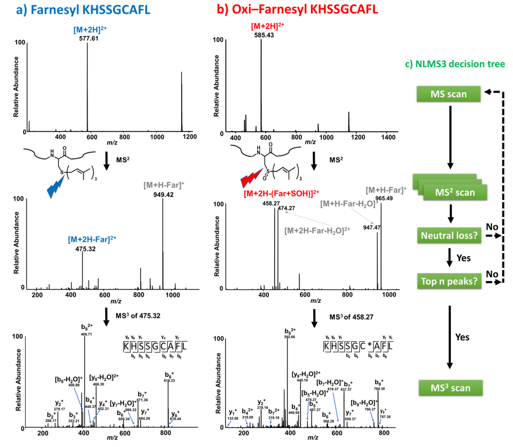 1889960249277403136-prenylation-analysis-service4.PNG
