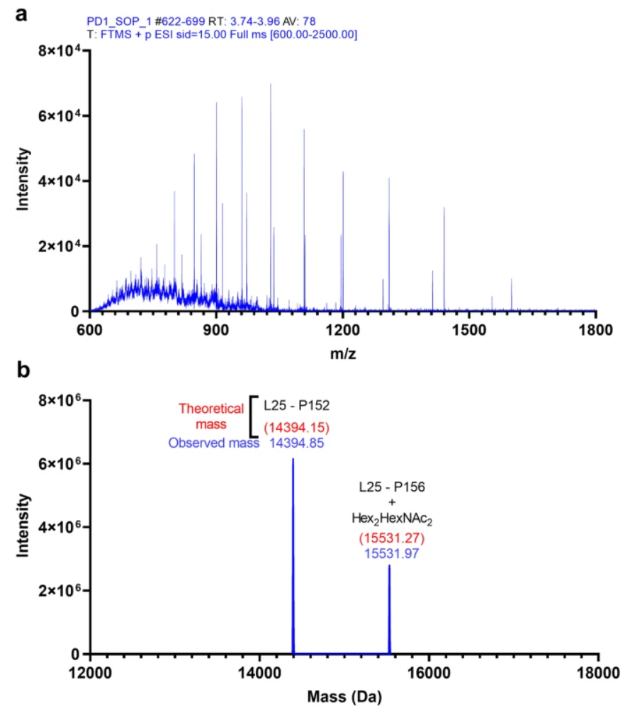 1889961710950404096-o-glycosylation-analysis-service3.PNG
