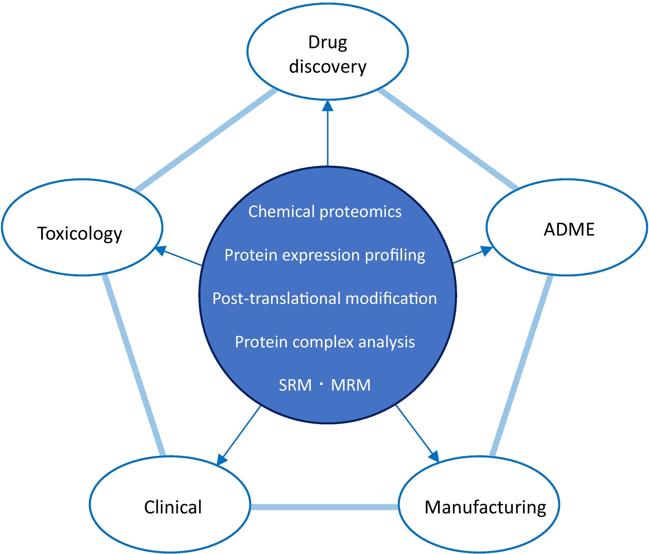 proteomics-in-research-phases1.jpg