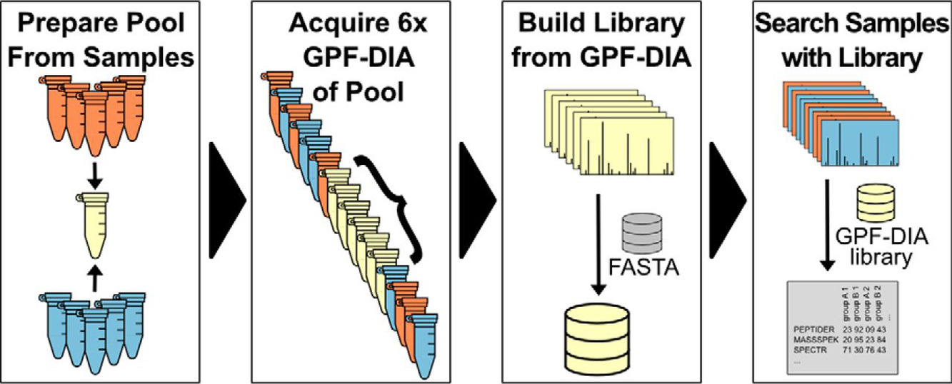 1890317498499846144-gpf-dia-quantitative-proteomics-services1.jpg