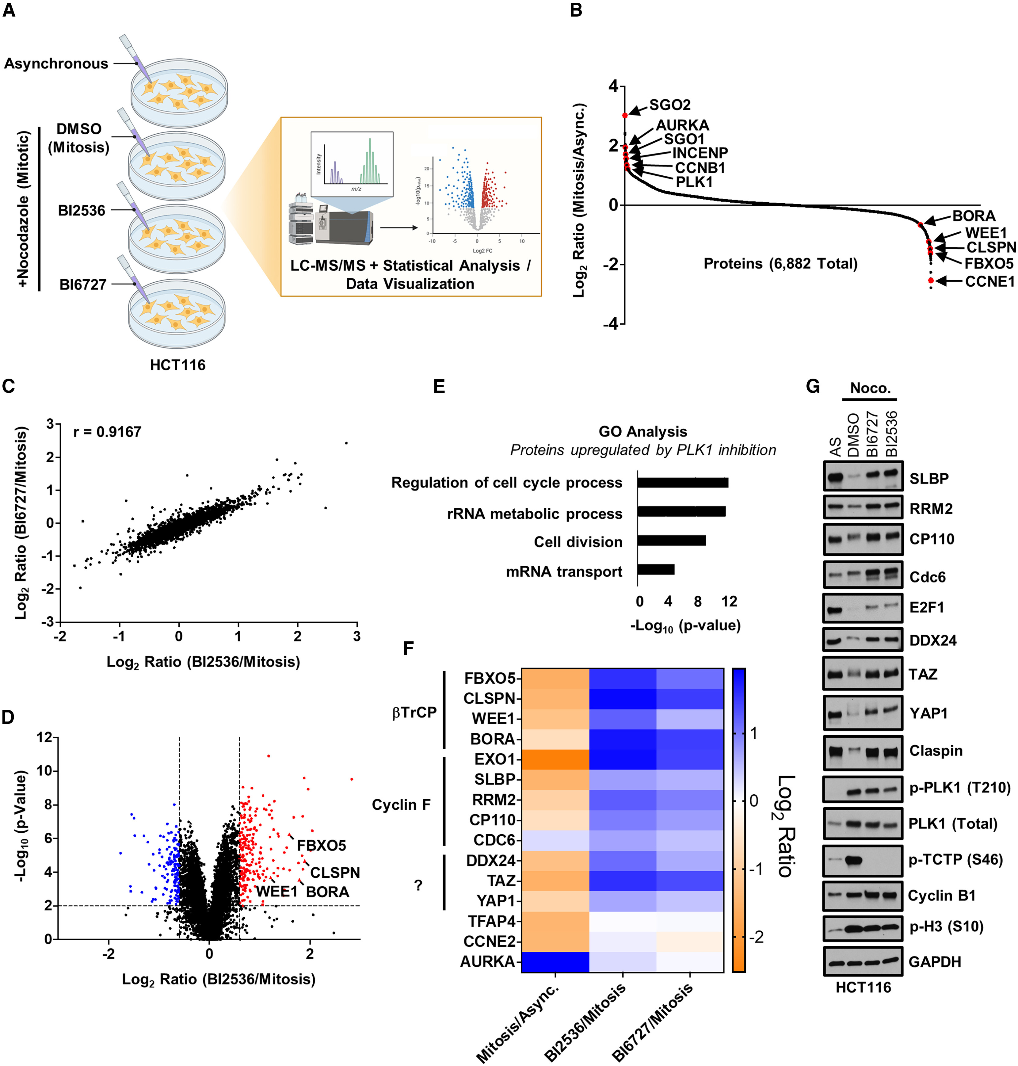1890320554771730432-label-free-dia-quantitative-proteomics2.jpg