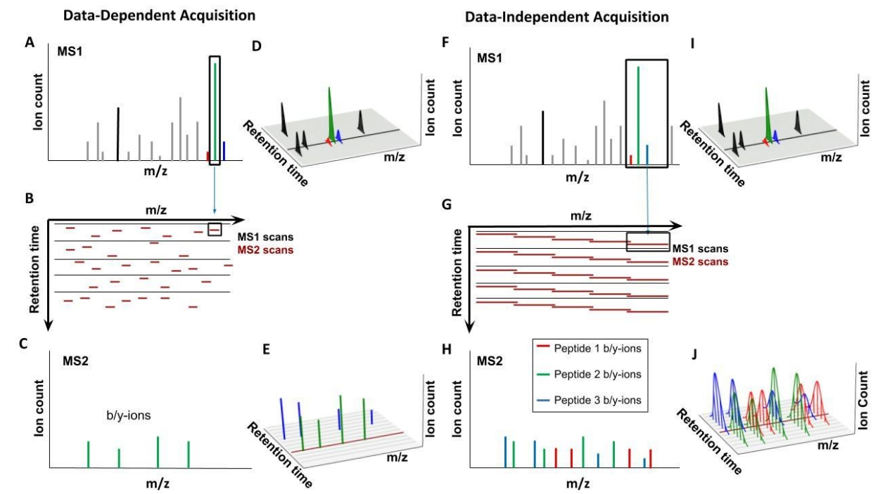 1890326363387842560-high-quality-dia-mass-spectrometry-data-acquisition1.png