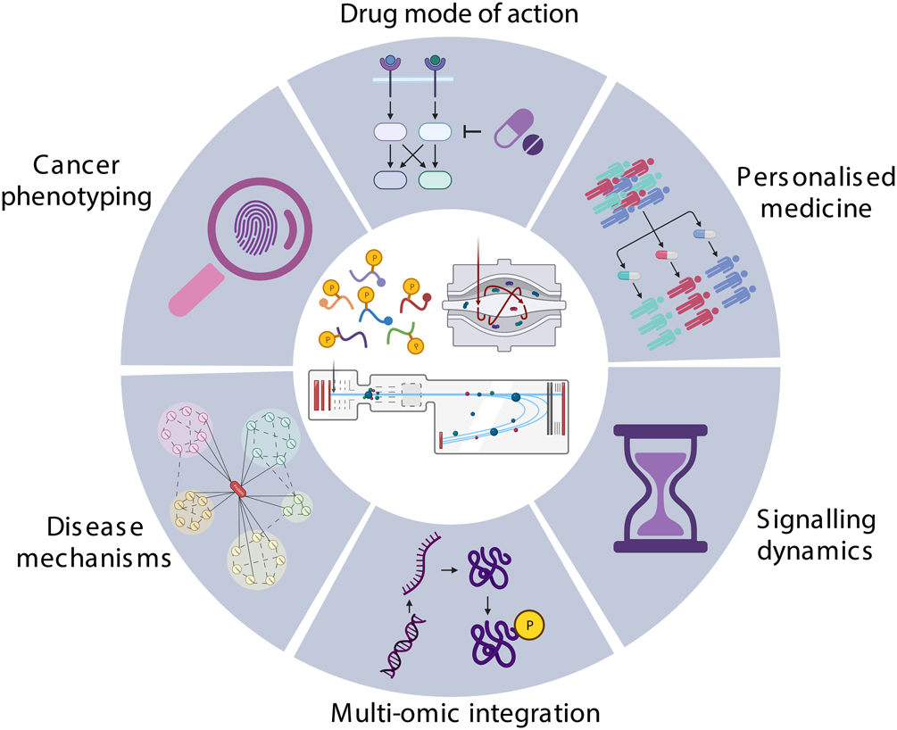 1890323121243238400-phosphoproteomics-service1.png