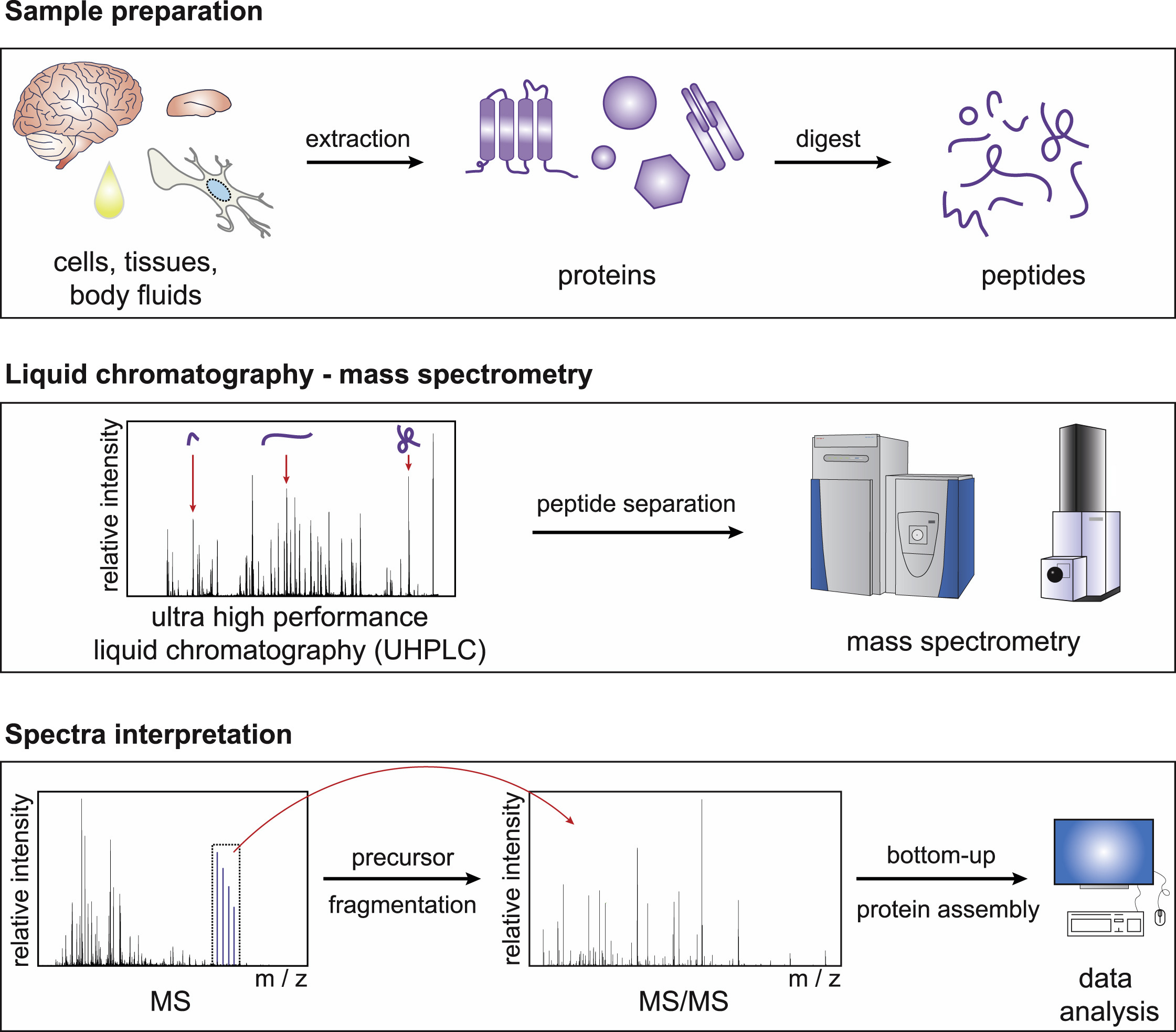 1888048647686967296-neuroproteomics-research-solutions2.jpg