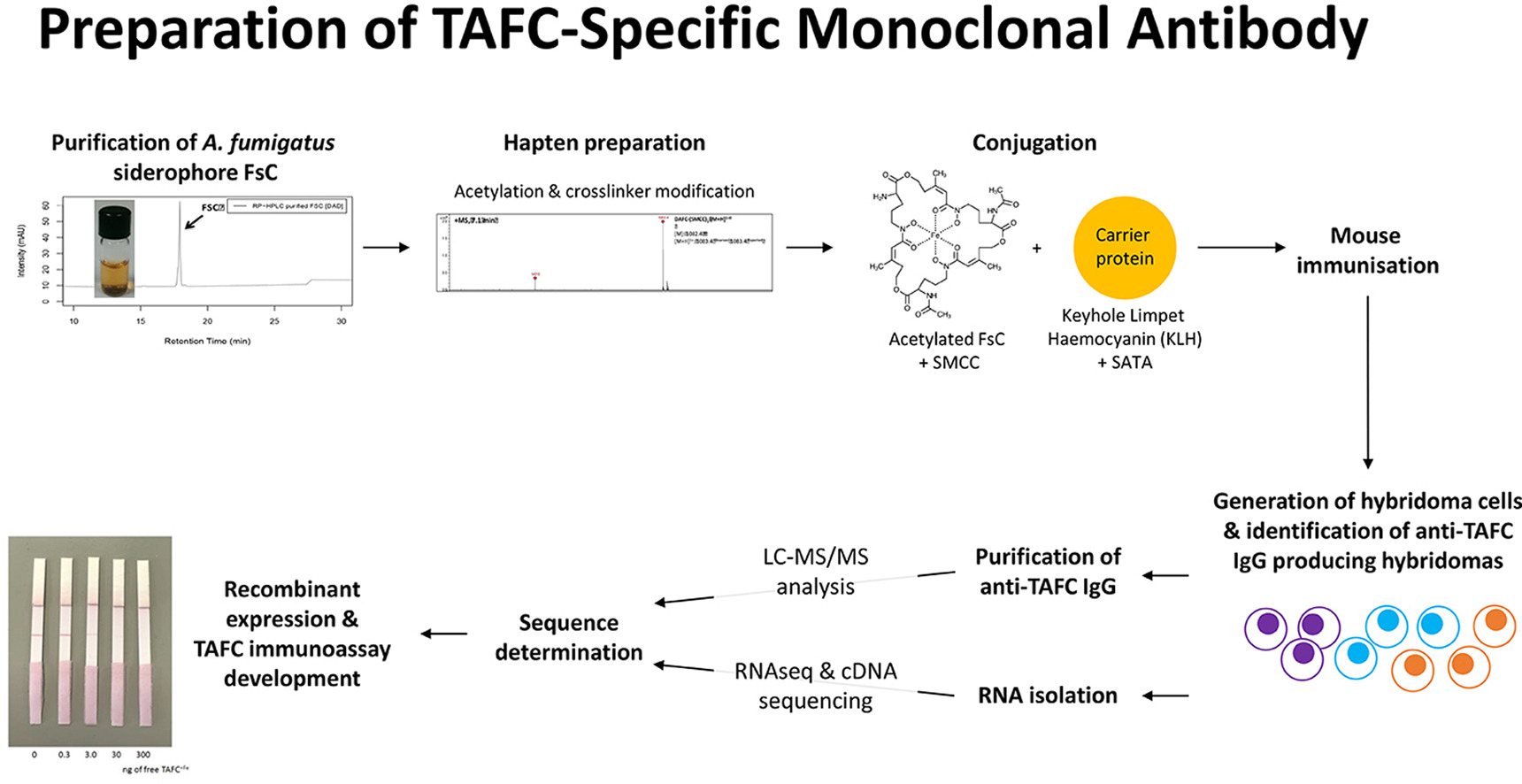 1892138692358295552-mab-sequencing-and-recombinant-expression-services1.jpg