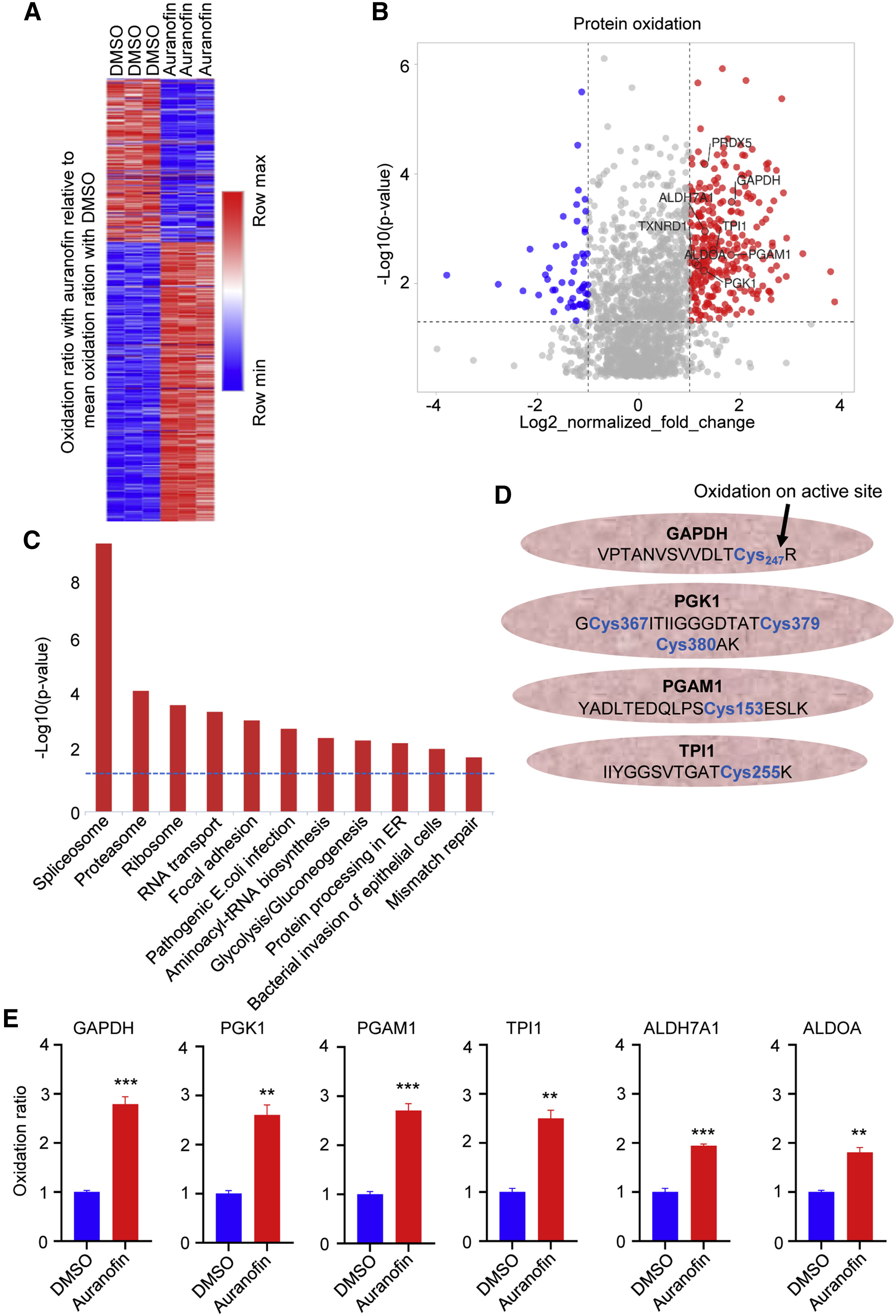 1893946373469491200-cysteine-redox-proteomics-service2.jpg