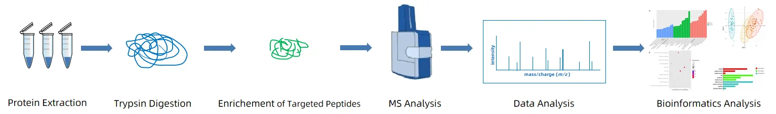 1894319315470635008-palmitoylation-proteomics-analysis-service2.png