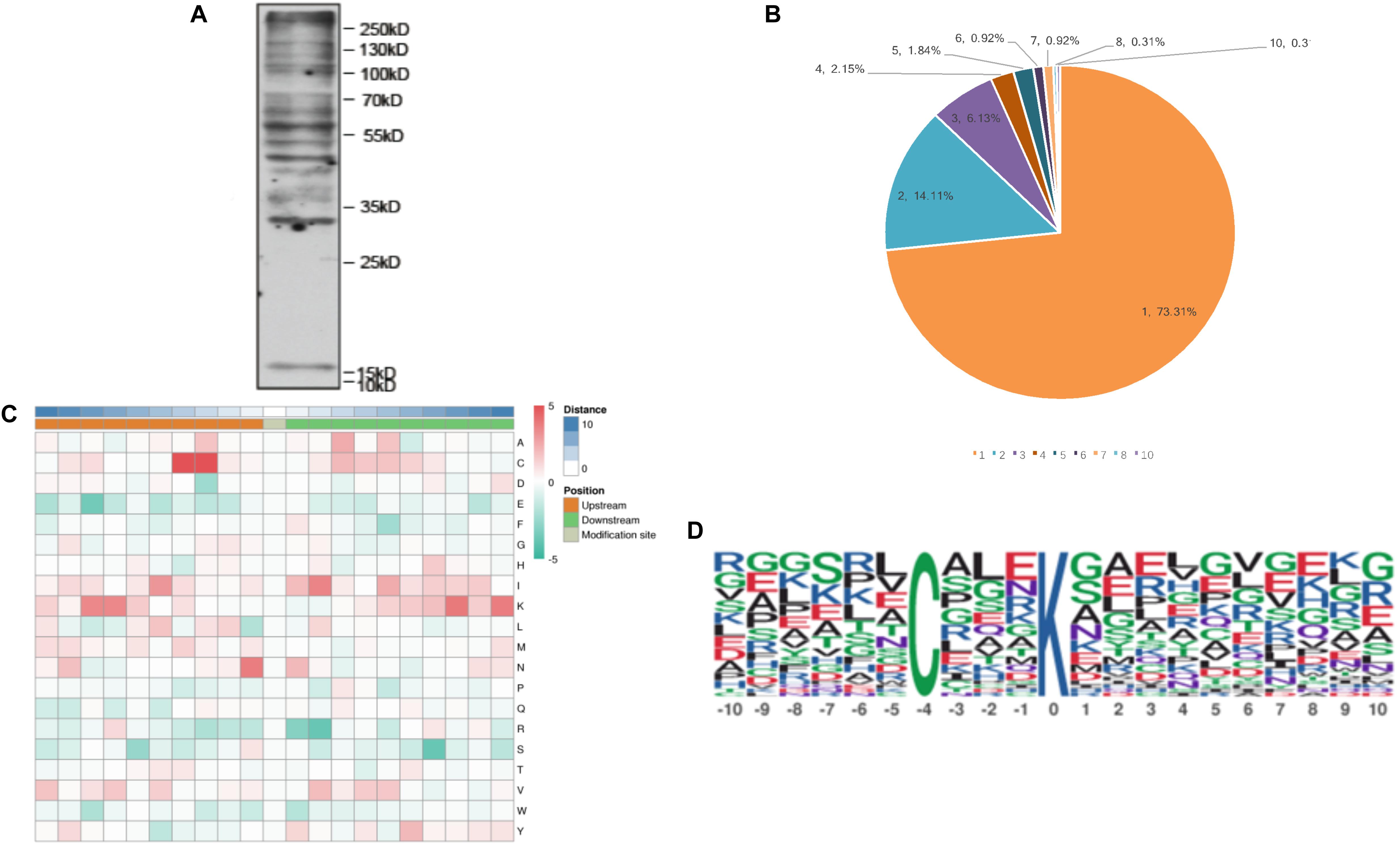 1894670868320735232-malonylation-proteomics-analysis-service2.jpg