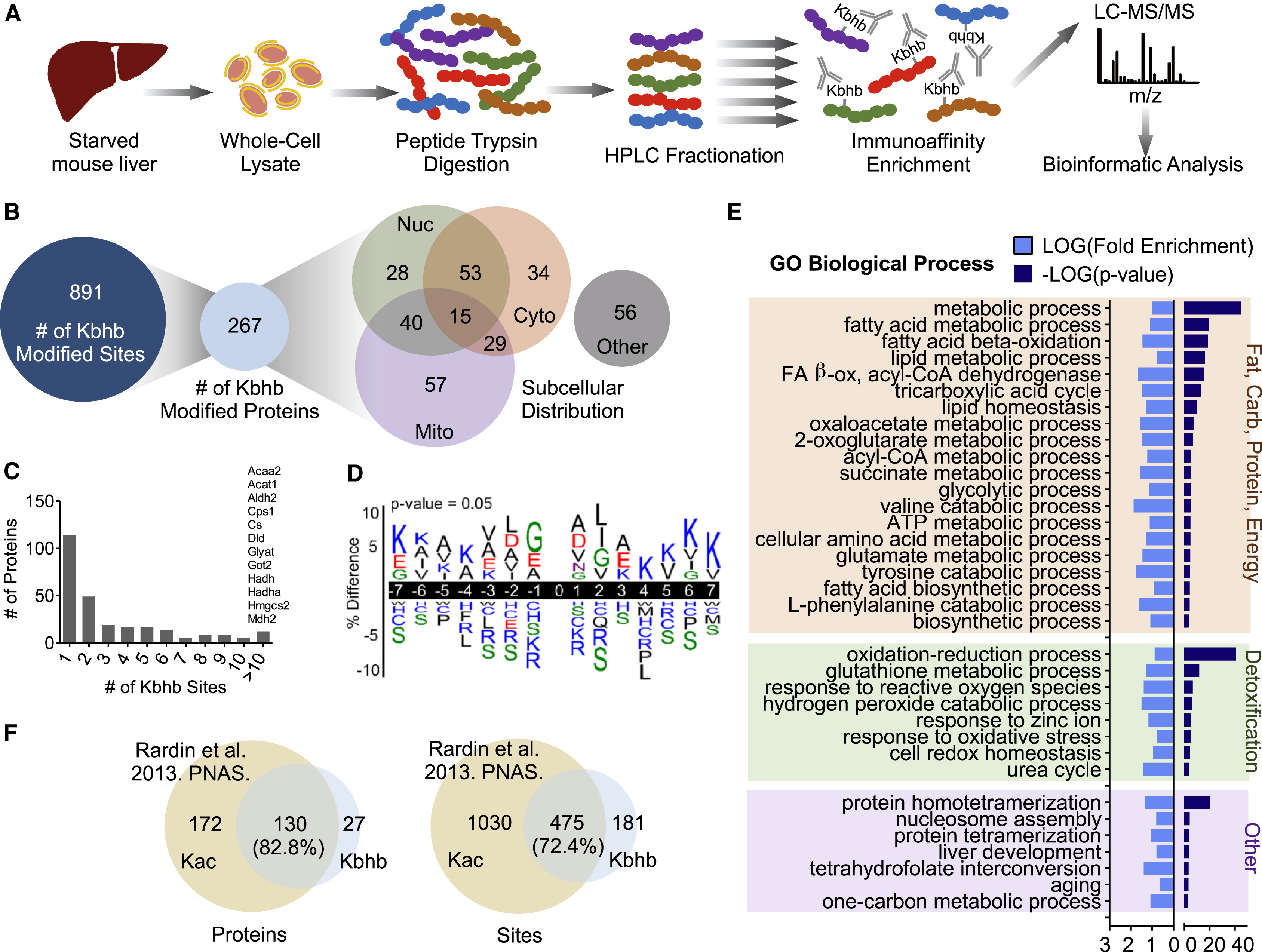 1894677175438266368-3-hydroxybutyrylation-proteomics-analysis-service2.jpg