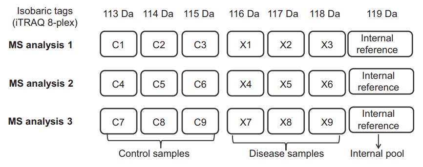 1894982560573411328-tmt-itraq-labeling-based-quantitative-service1.PNG