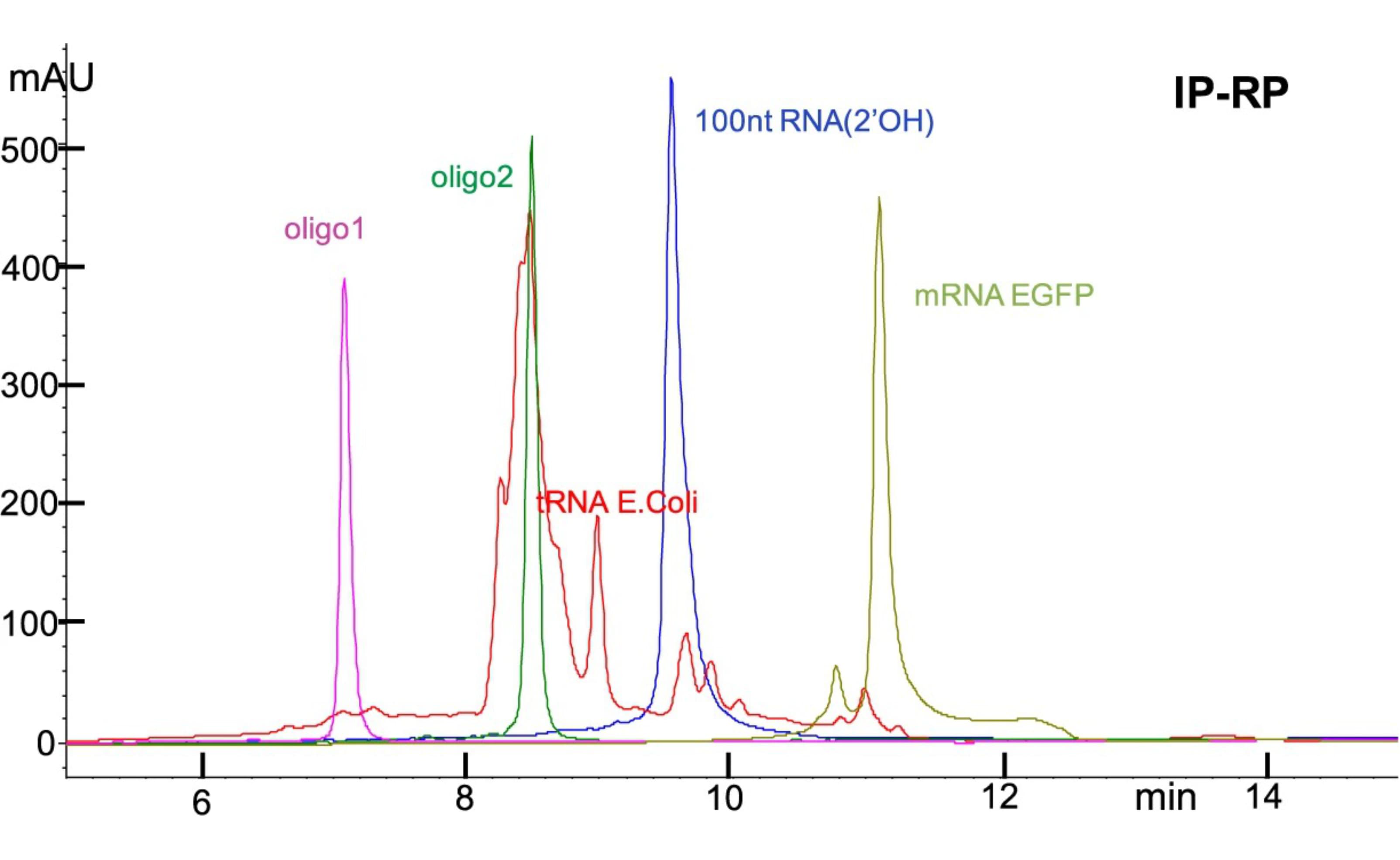 1895010345337606144-oligonucleotide-purity-analysis-service1.png