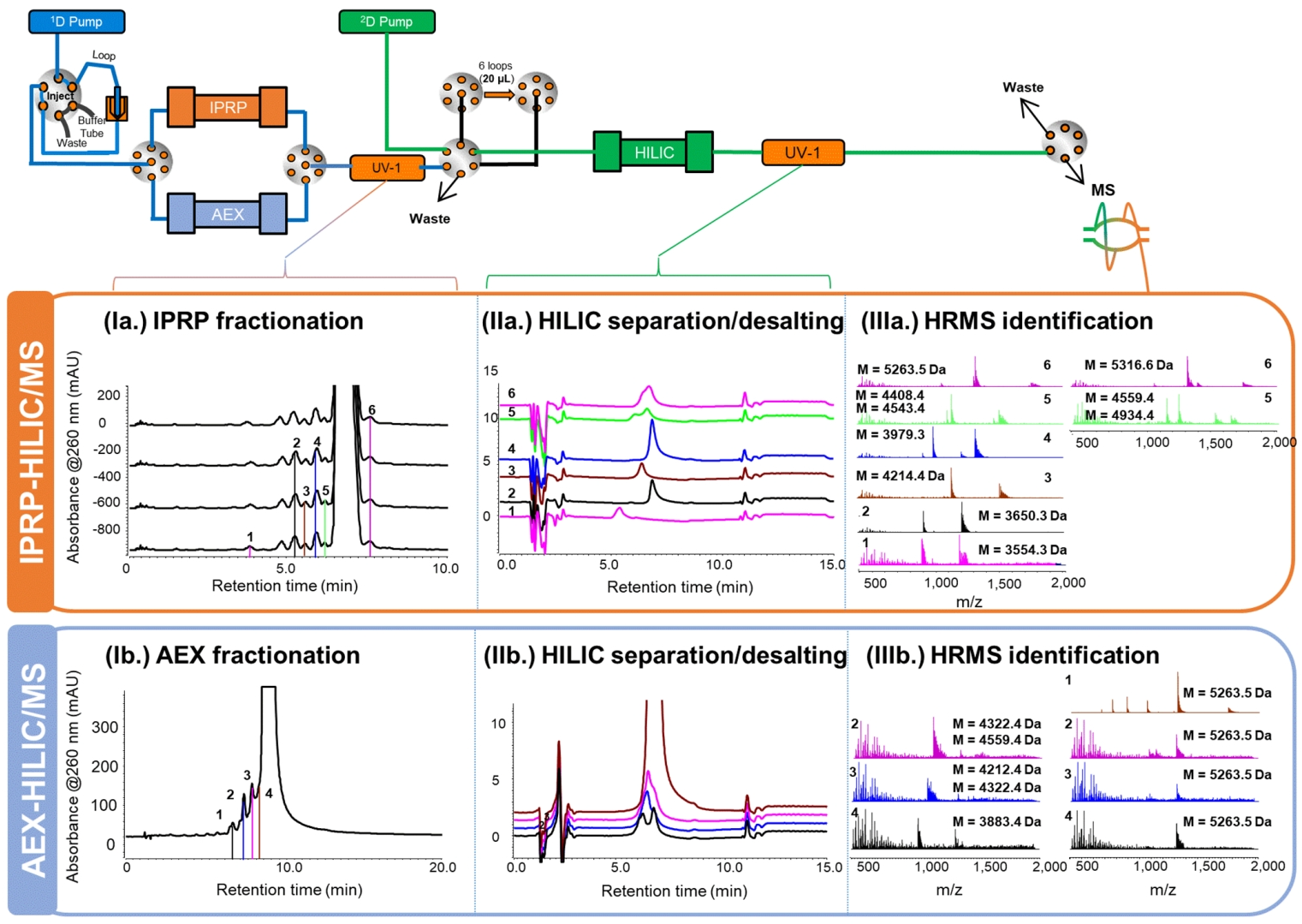 1895010691430600704-oligonucleotide-purity-analysis-service2.png