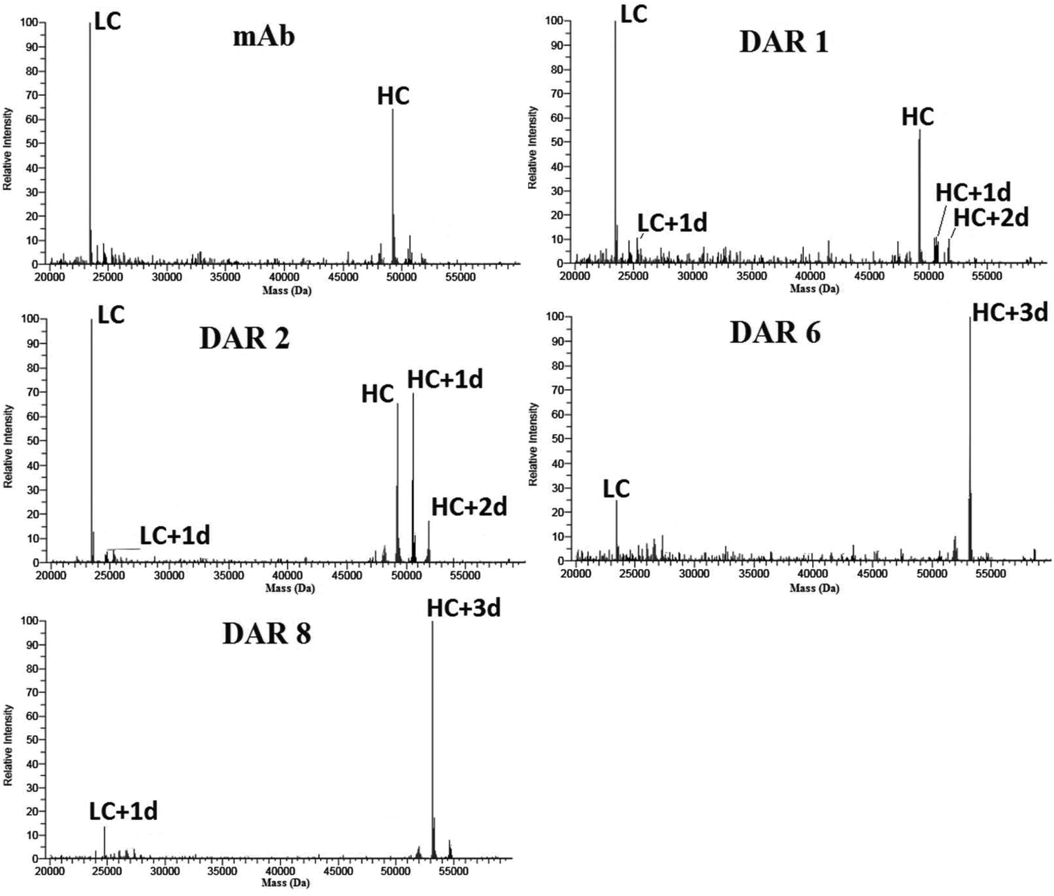 1895038065794732032-antibody-drug-conjugate-adc-sequencing-services2.gif