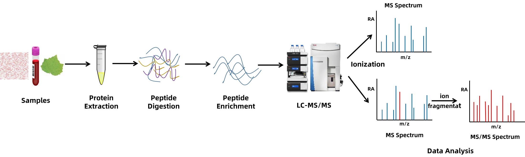1895039379022925824-global-post-translational-modification-proteomics-service2.jpeg