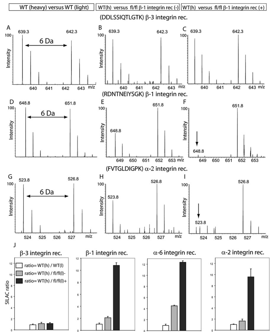 1895359089207791616-silac-stable-isotope-labeling-by-amino-acids-in-cell-culture-based-quantitative-service3.PNG
