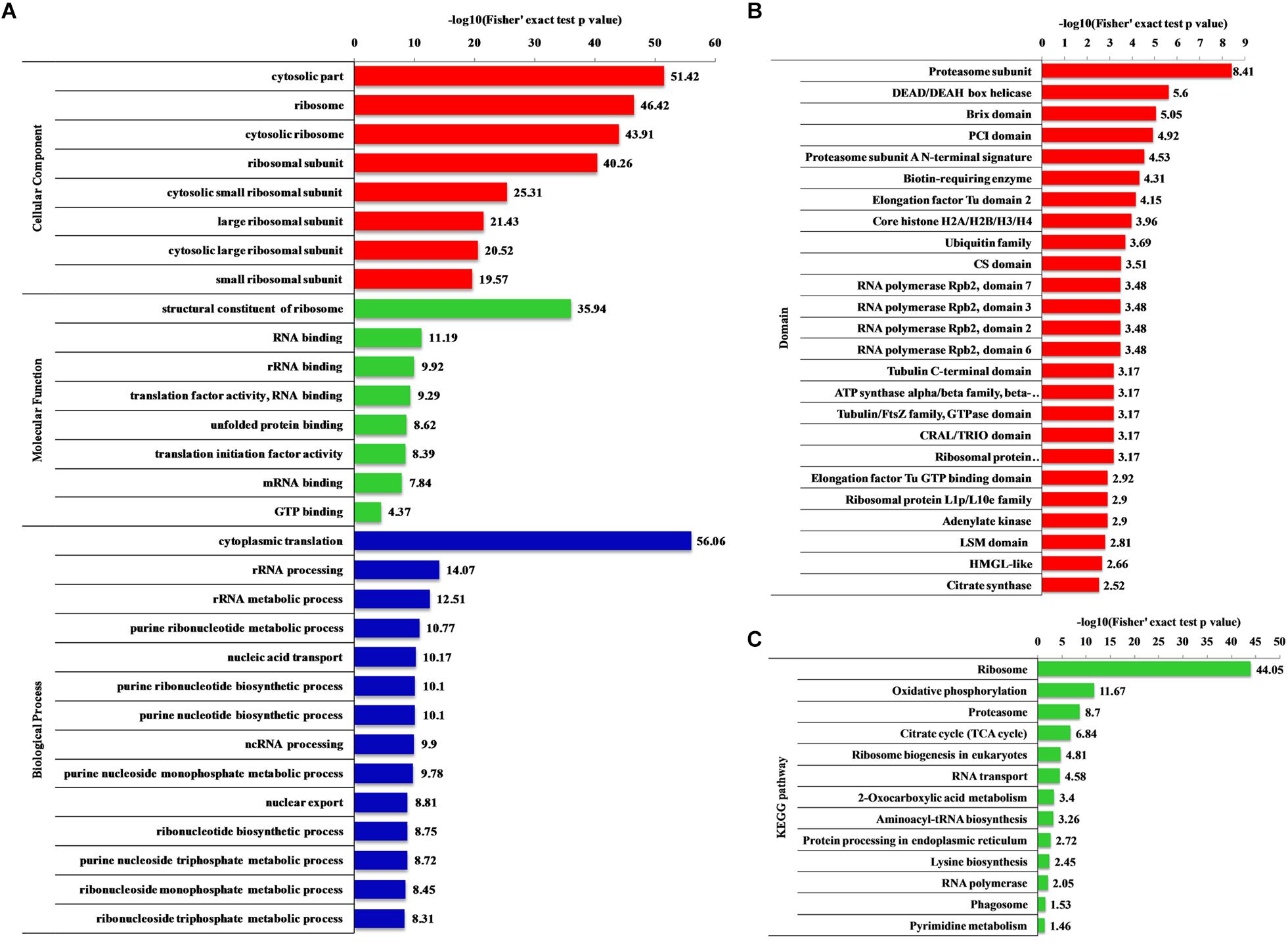 1895380825320050688-2-hydroxyisobutyrylation-proteomics-analysis-service2.jpg