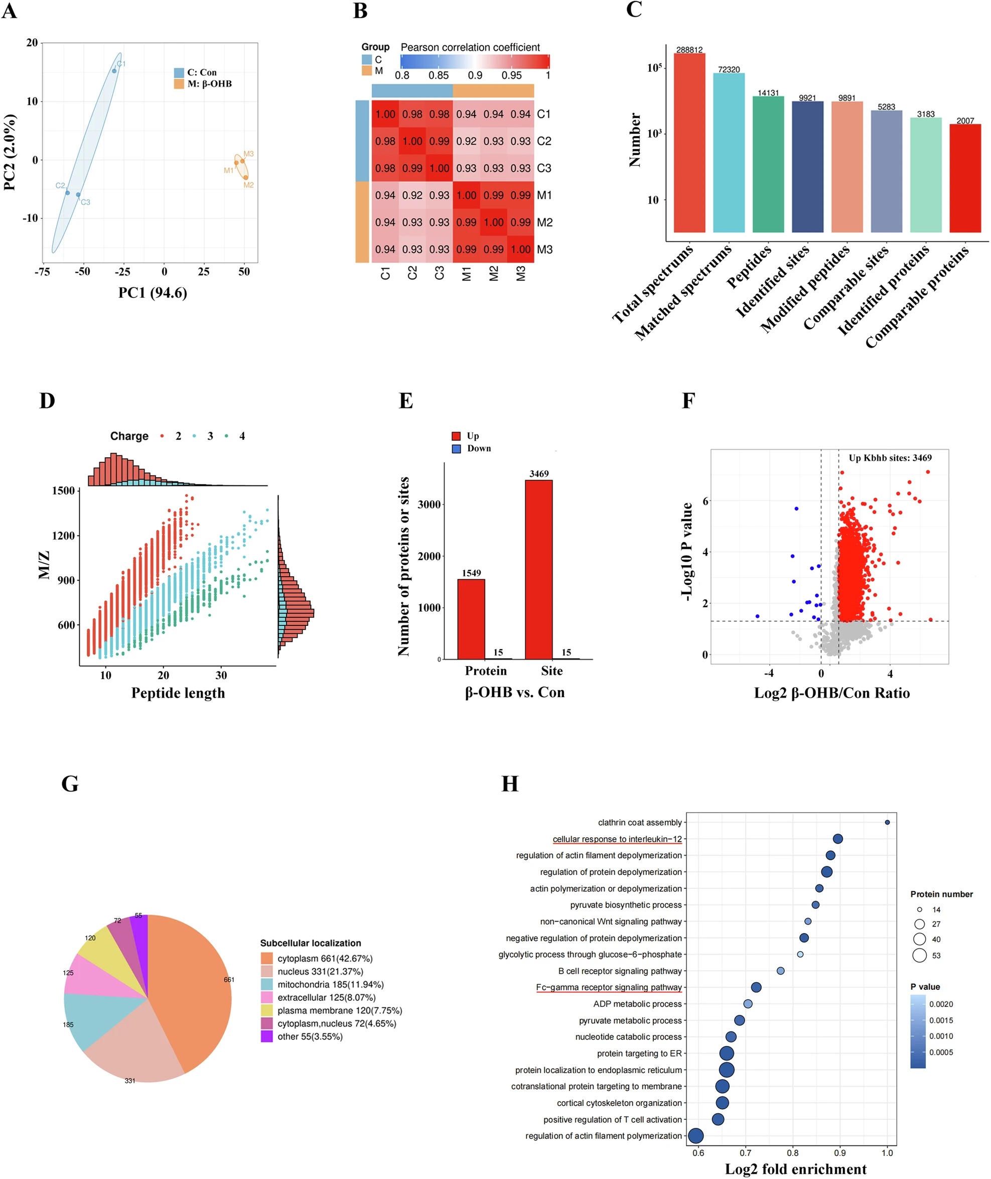 1895389912170614784-novel-acylation-proteomics-analysis-service2.webp