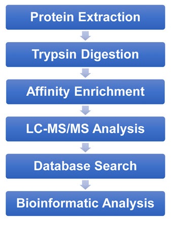 1895397739261972480-l-lactylation-proteomics-analysis-service2.jpg
