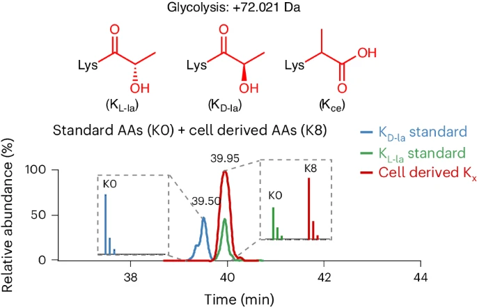 1895397841938534400-l-lactylation-proteomics-analysis-service3.png