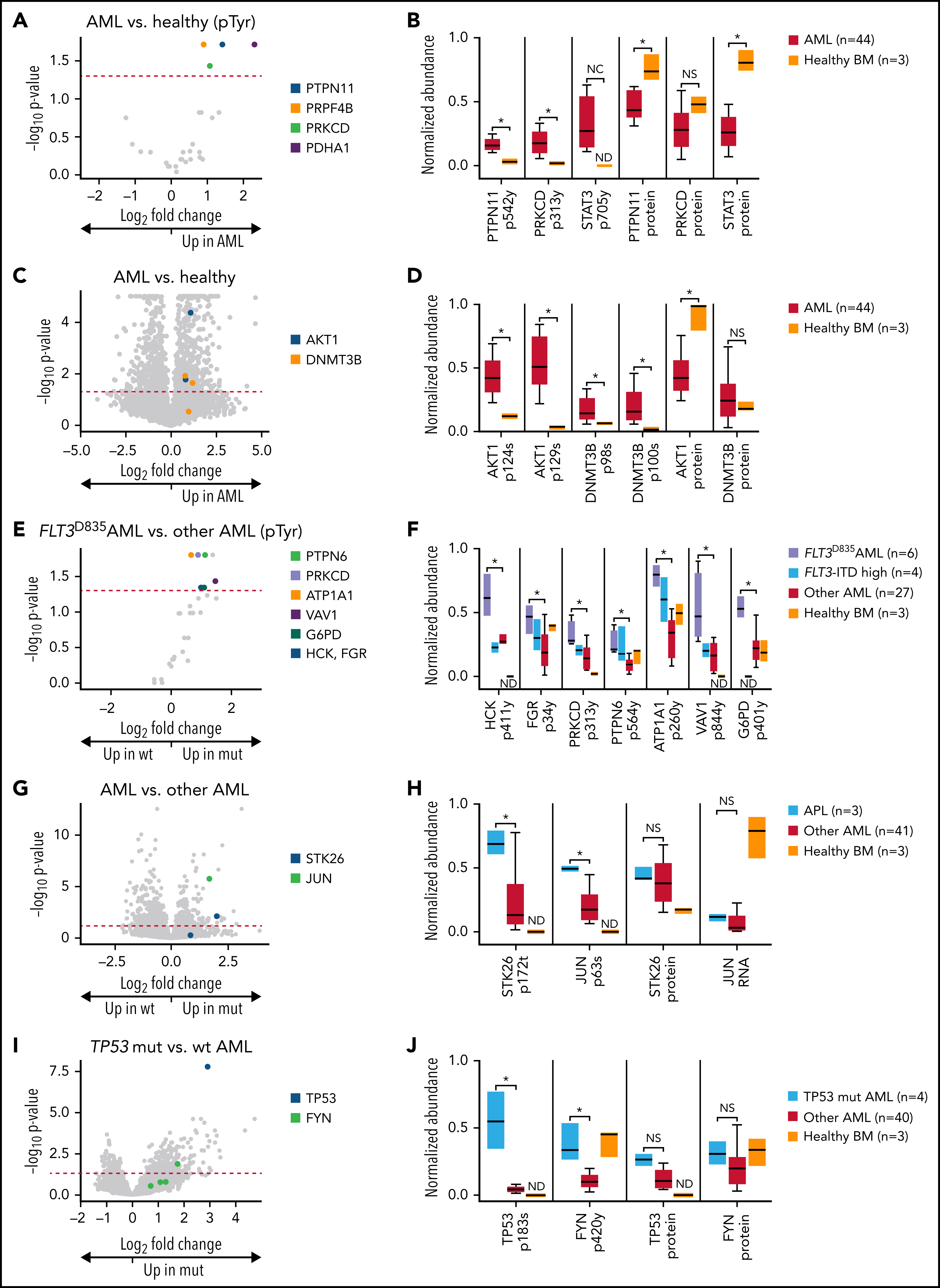 1895410797573165056-tyrosine-phosphorylation-proteomics-analysis-service3.png