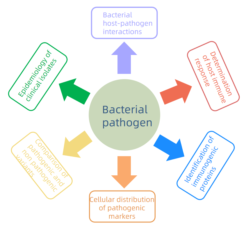 1892115137457410048-microorganisms-proteomics-solutions1.PNG