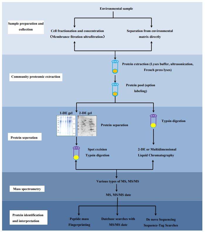 1892115543122104320-microorganisms-proteomics-solutions2.PNG
