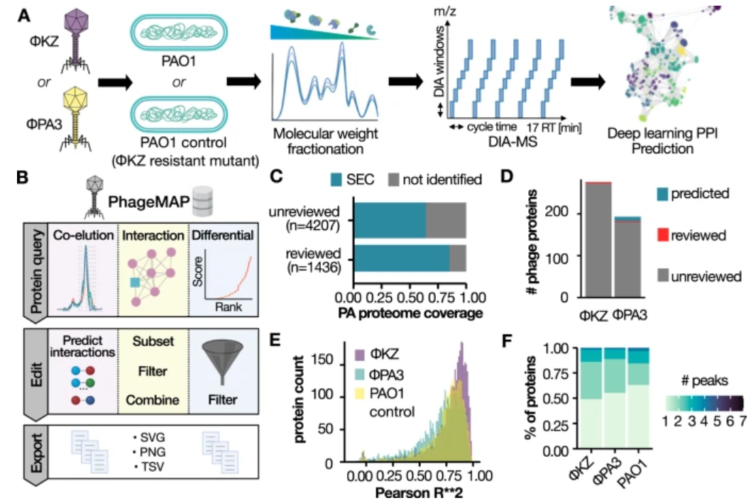 1892115757576867840-microorganisms-proteomics-solutions3.PNG
