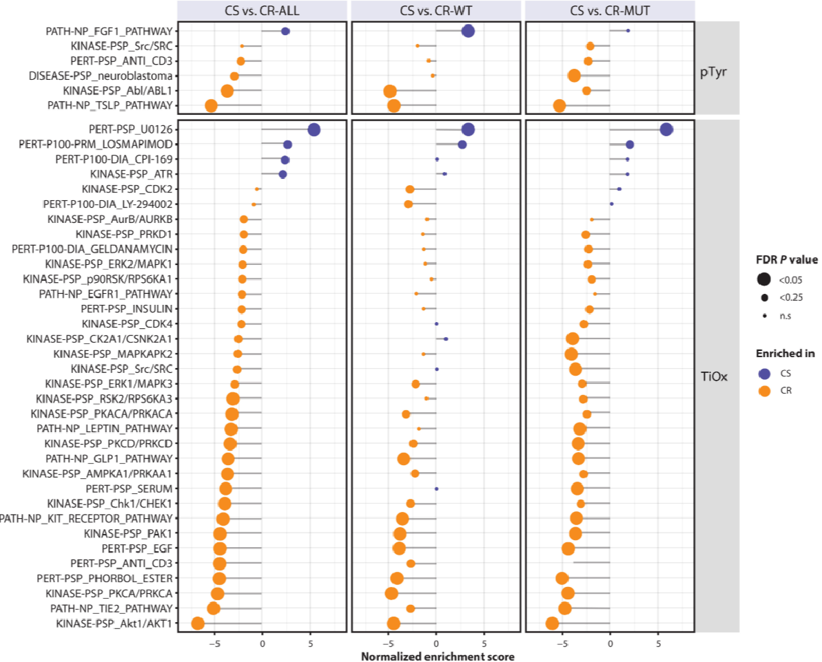 1896452332821532672-tumor-phosphorylation-signaling-pathway-analysis-service2.png