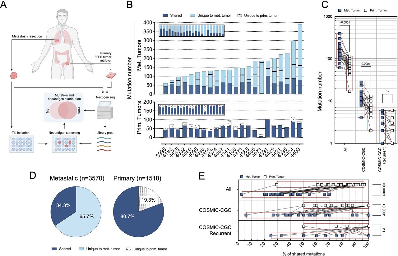 1896487497904017408-neoantigen-sequencing-service2.jpg