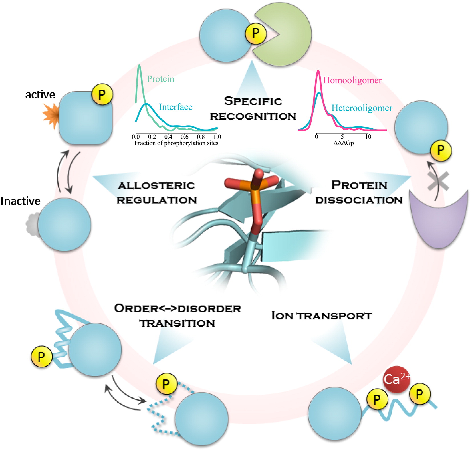 1892834329919868928-phosphoproteomics-solutions1.jpg