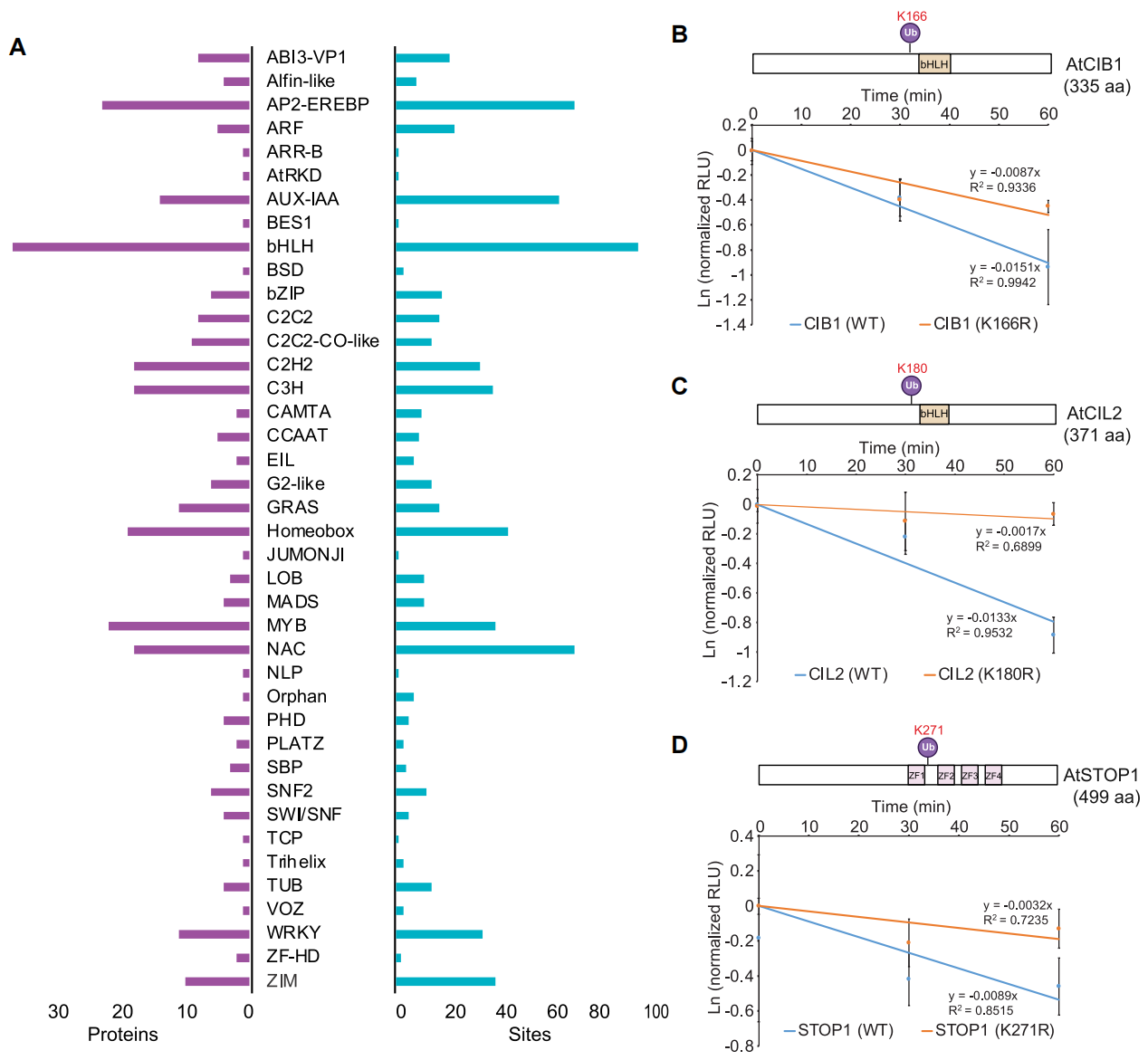 1896760319817666560-ubiquitinproteomics-analysis-service3.PNG