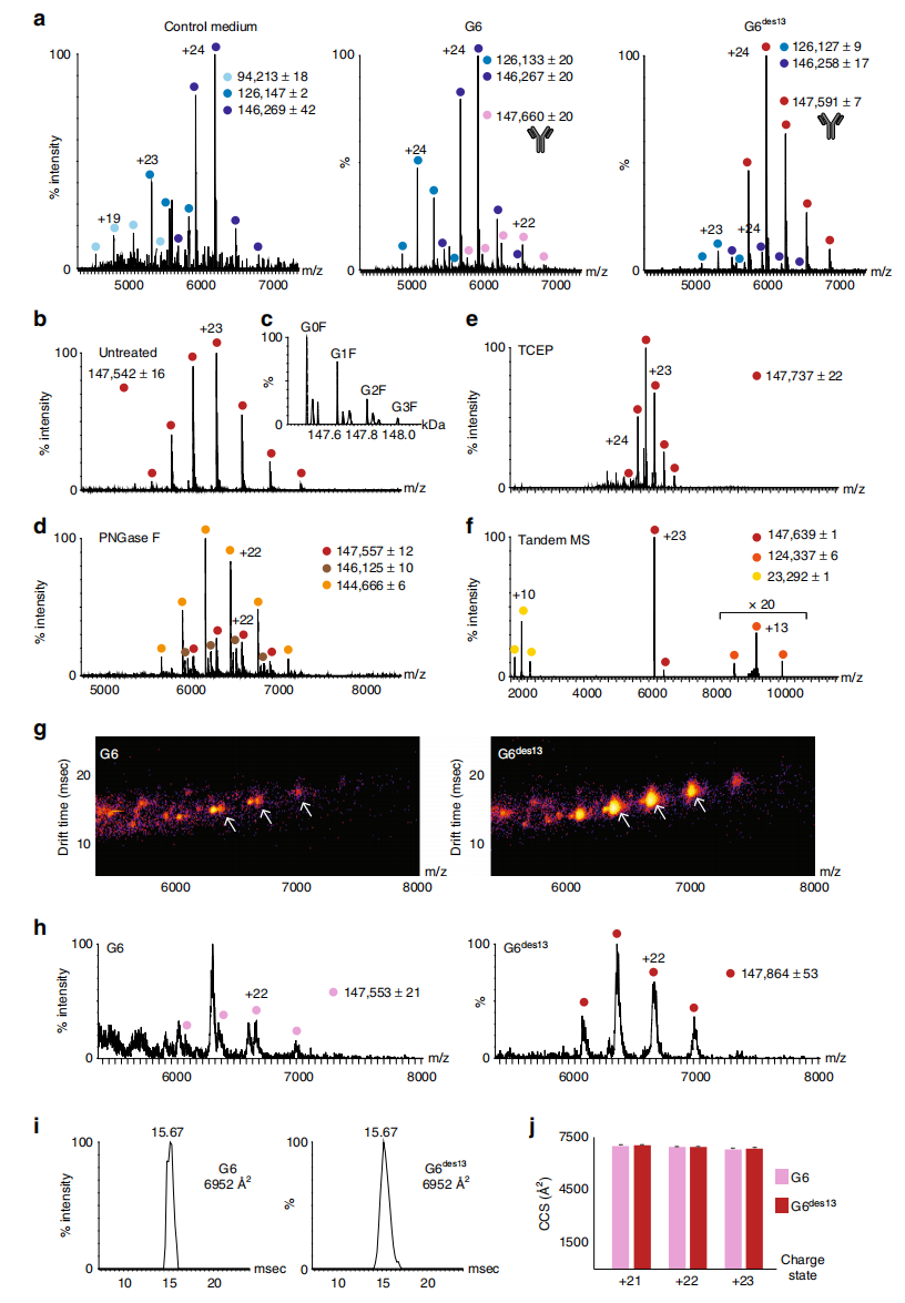 1896827807964188672-macromolecule-drugs-mass-spectrometry-characterization-service2.PNG