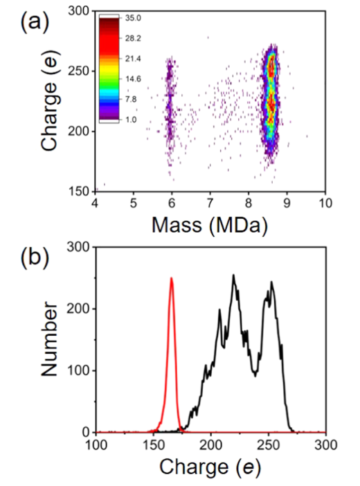 1896828034301415424-macromolecule-drugs-mass-spectrometry-characterization-service3.PNG