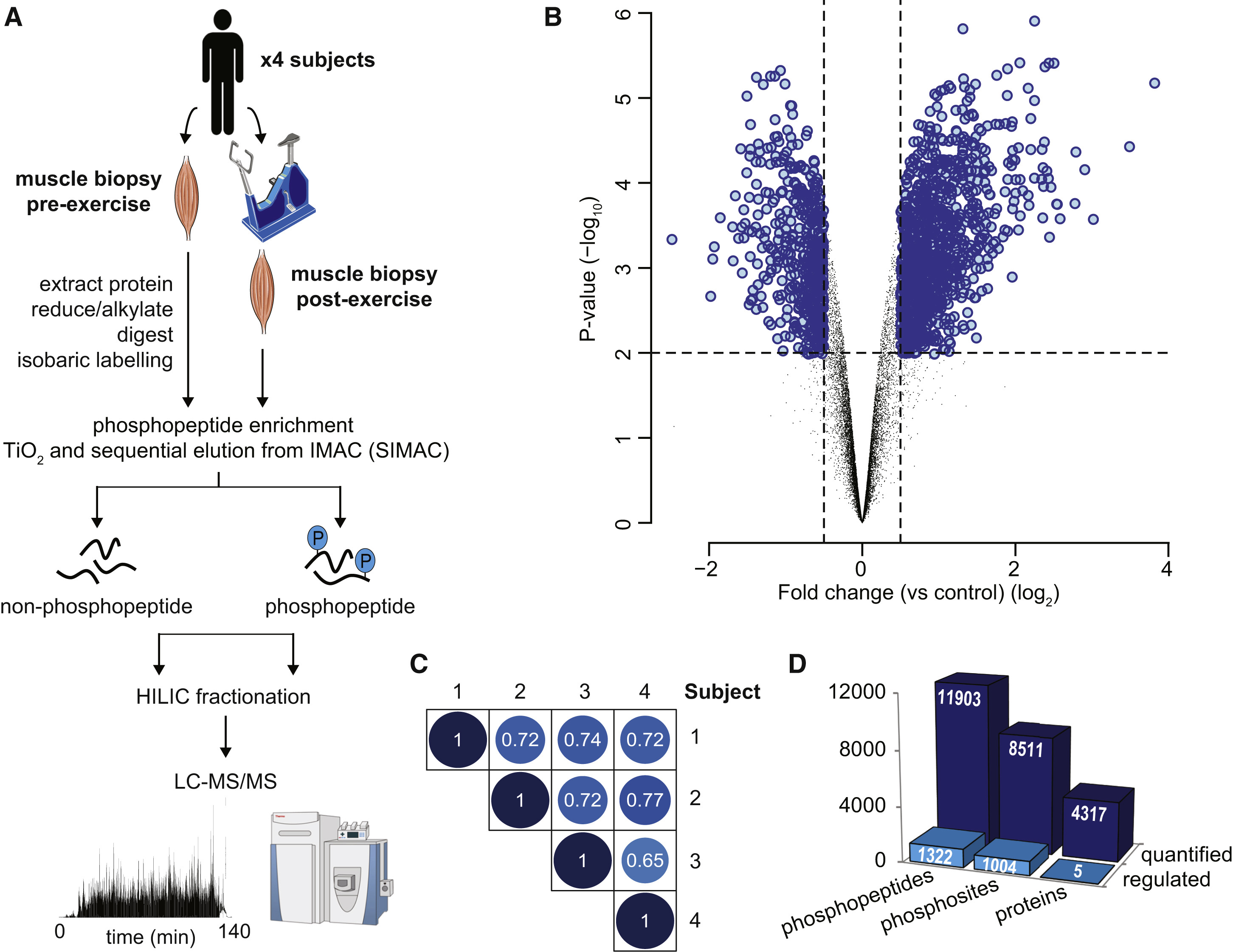 1897106103268397056-global-phosphoproteomics-service3.jpg