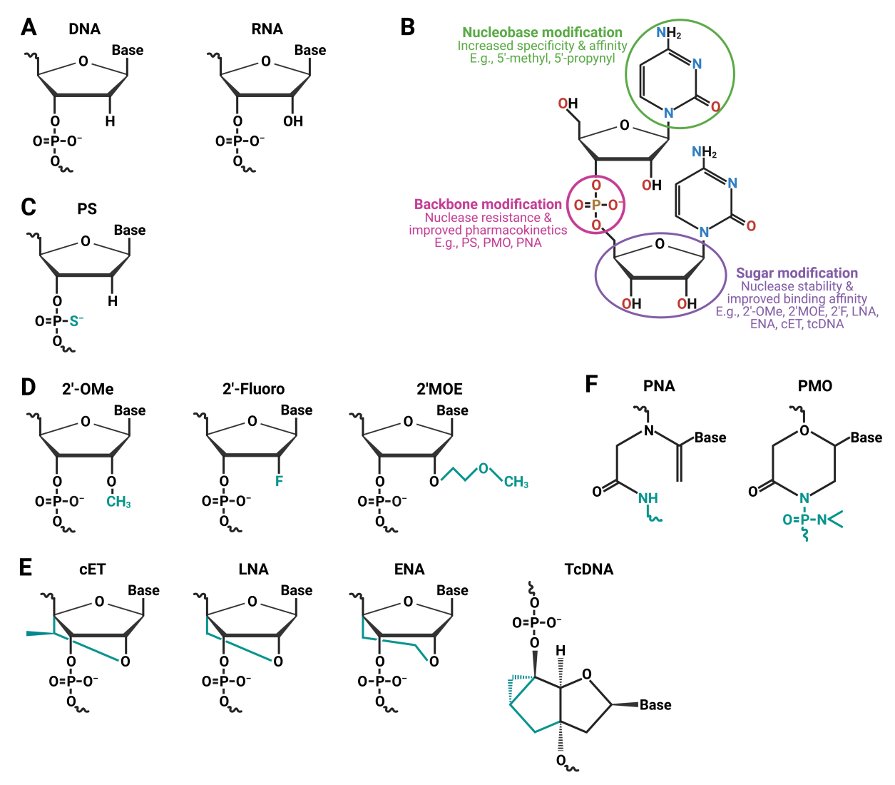 1897180640563548160-oligo-mass-spectrometry-characterization-service1.PNG