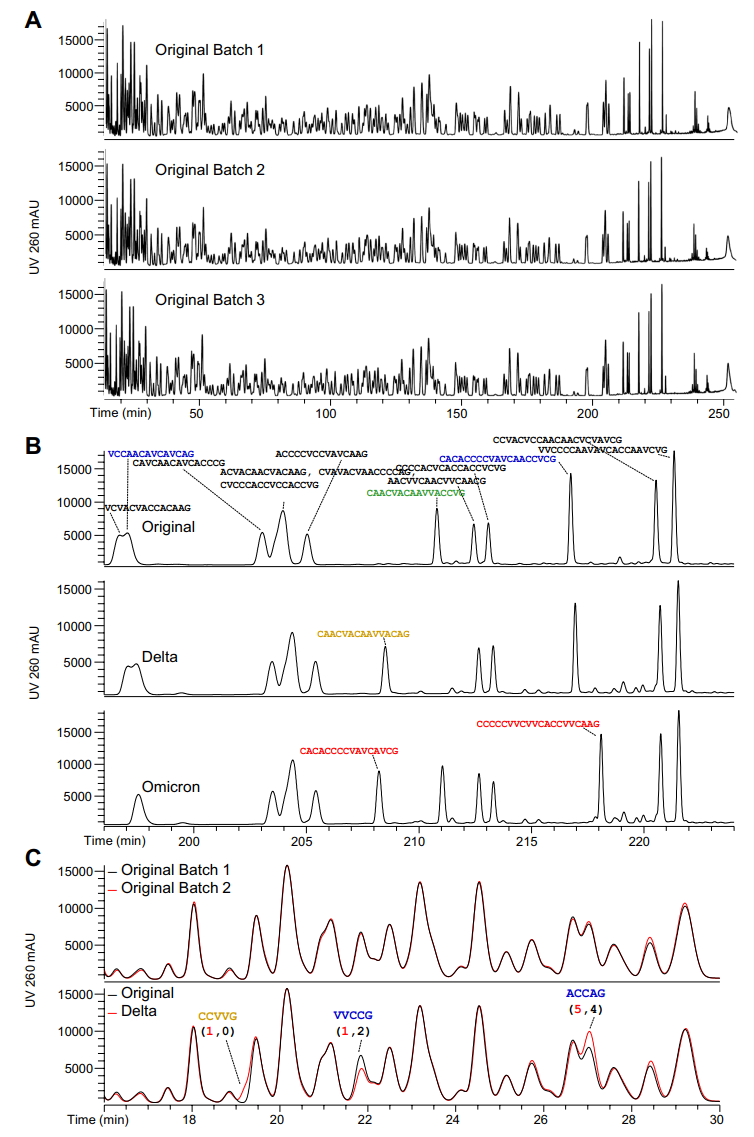 1897182885870948352-oligo-mass-spectrometry-characterization-service6.PNG