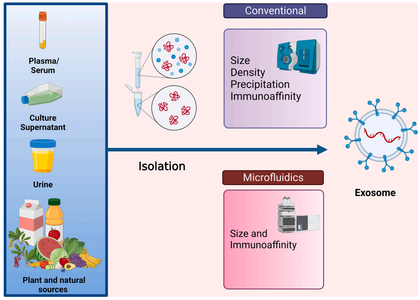 1897528774036672512-exosome-supernatant-preparation-service2.PNG