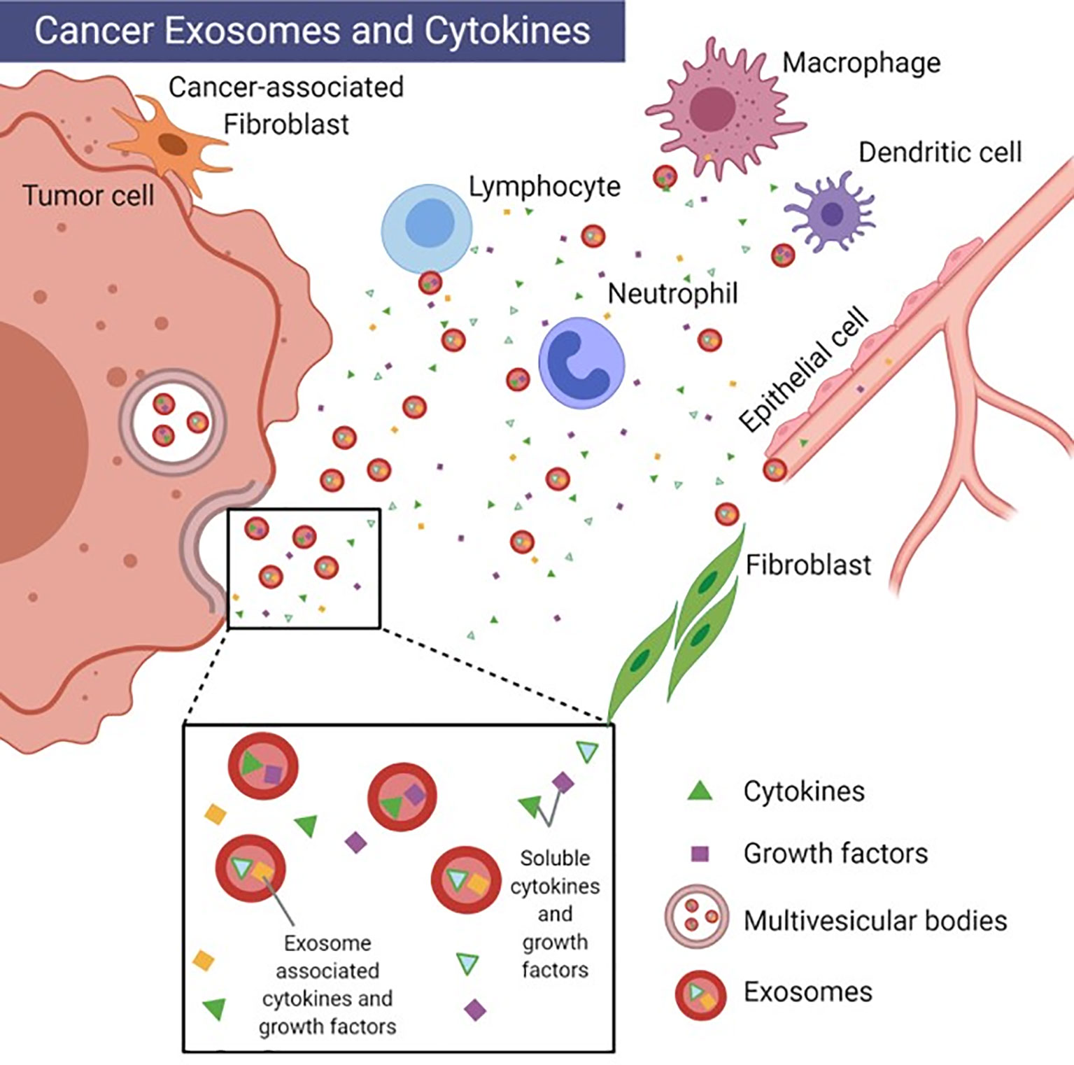 1897569809655779328-exosomal-cytokines-profiling-service1.jpg